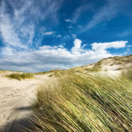 Alte Schmiede- Whg 3 아파트 *